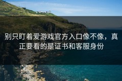 别只盯着爱游戏官方入口像不像，真正要看的是证书和客服身份