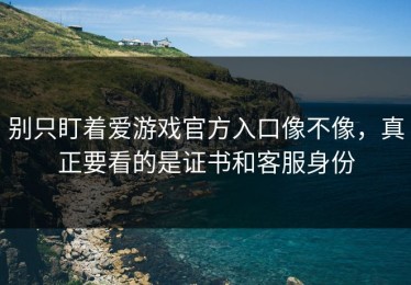 别只盯着爱游戏官方入口像不像，真正要看的是证书和客服身份
