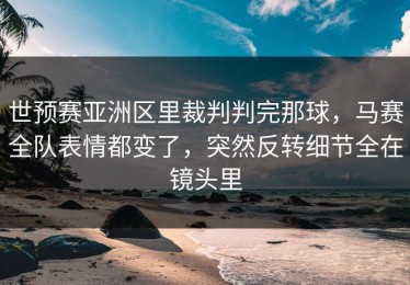 世预赛亚洲区里裁判判完那球，马赛全队表情都变了，突然反转细节全在镜头里