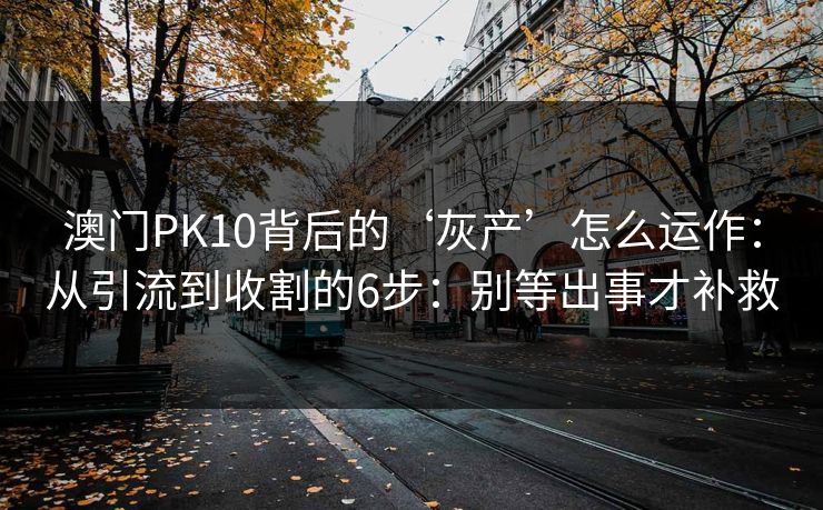 澳门PK10背后的‘灰产’怎么运作：从引流到收割的6步：别等出事才补救