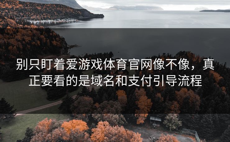 别只盯着爱游戏体育官网像不像，真正要看的是域名和支付引导流程