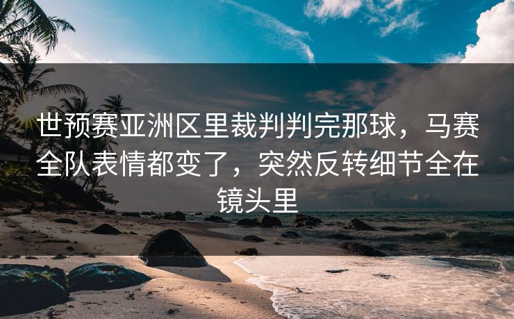世预赛亚洲区里裁判判完那球，马赛全队表情都变了，突然反转细节全在镜头里