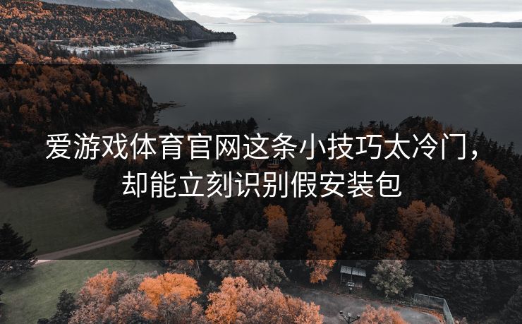 爱游戏体育官网这条小技巧太冷门，却能立刻识别假安装包